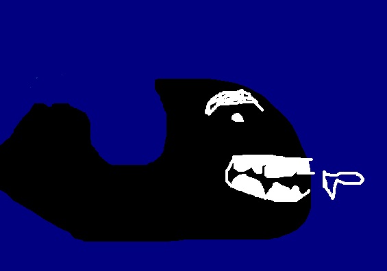 Le gros poisson qui ve manger le pettie poisson, Solène Mathieu, 2008